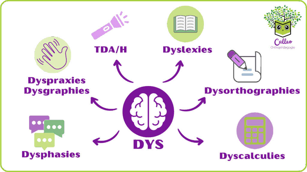 DYS : Outils et adaptations dans ma classe